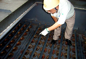 通常業務の確認